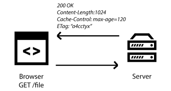 Figure 3.1